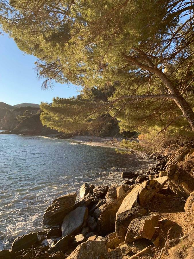 Villa Cavalaire Sur Mer Exterior foto